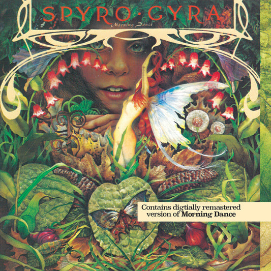 the album cover for Spyro Gyra - Morning Dance