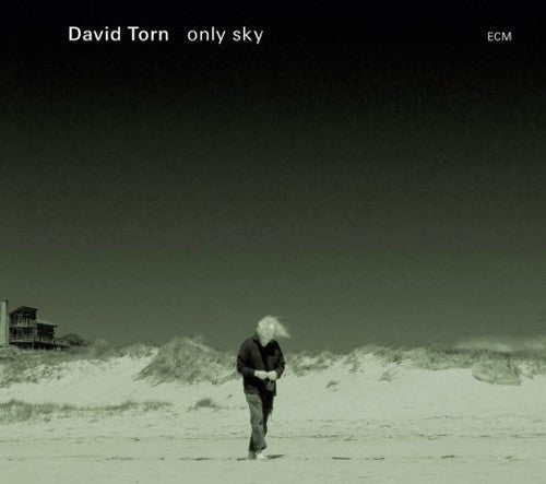 the album cover for David Torn (Jazz) - Only Sky