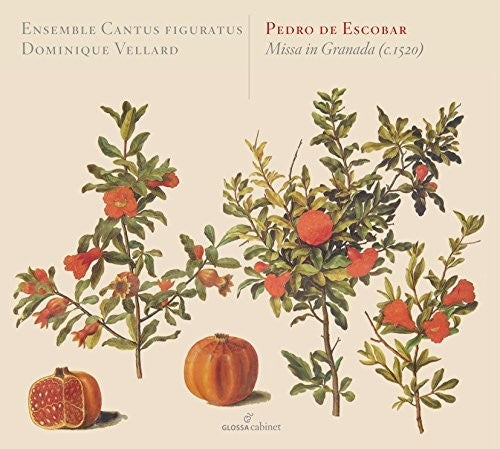 the album cover for Escobar / Ensemble Cantus Figuratus / Vellard - Missa in Granada C. 1520