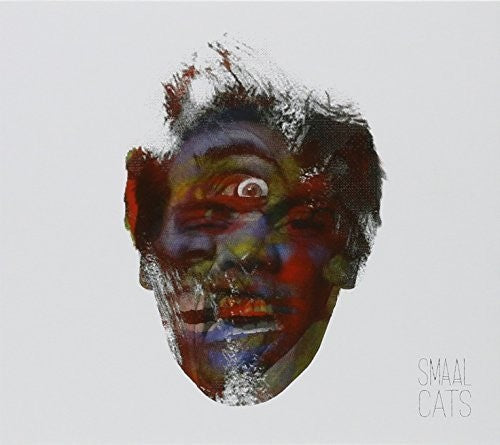 the album cover for Smaal Cats - Seagulls