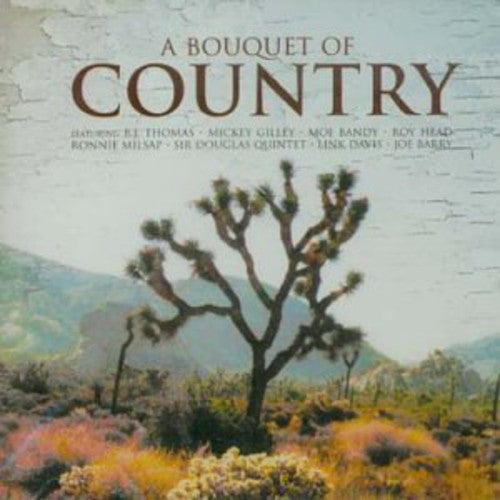 the album cover for Various Artists - A Bouquet Of Country