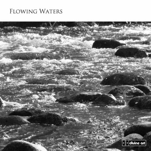 the album cover for Whitlock / Honeybourne / Stokes / Meldrum - Flowing Waters