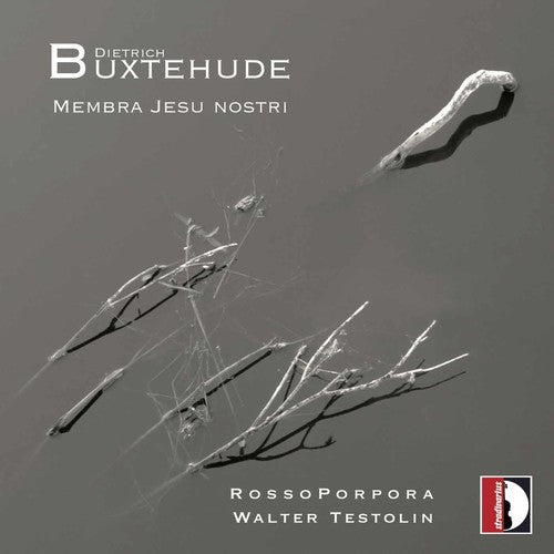 the album cover for Buxtehude / Rossoporpora / Testolin - Membra Jesu Nostri [Digipak]