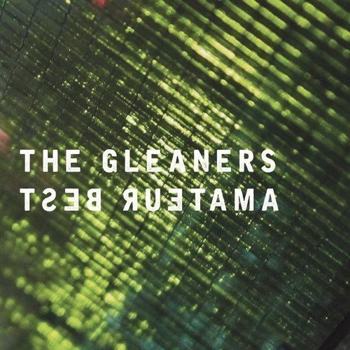 the album cover for Amateur Best - The Gleaners