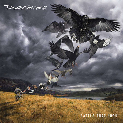 the album cover for David Gilmour - Rattle That Lock [CD/DVD] [Deluxe Edition] [Box Set]