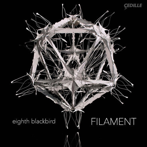 the album cover for Dessner / Eighth Blackbird / Dessner / Muhly - Filament