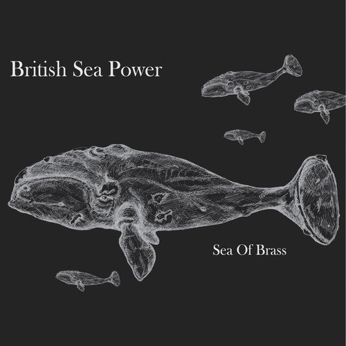 the album cover for British Sea Power - Sea of Brass