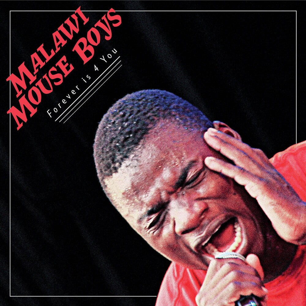 the album cover for Malawi Mouse Boys - Forever Is 4 You