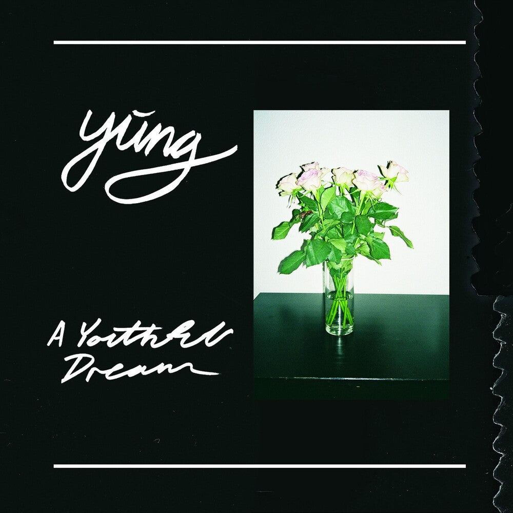 the album cover for Yung - A Youthful Dream [Vinyl]