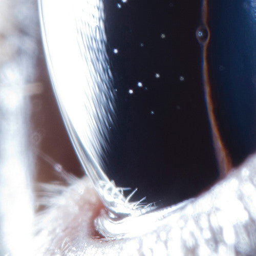 the album cover for Roly Porter - Third Law