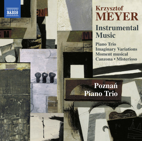 the album cover for Meyer / Poznan Piano Trio - Meyer: Instrumental Music