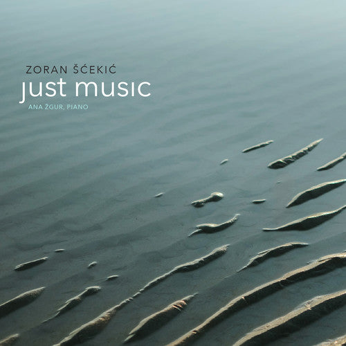 the album cover for Scekic / Zgur / Scekic - Scekic: Just Music