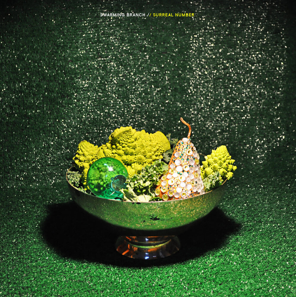 the album cover for Swarming Branch - Surreal Number