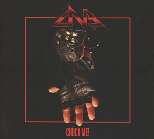 the album cover for Chuck Norris Experiment - Chuck Me