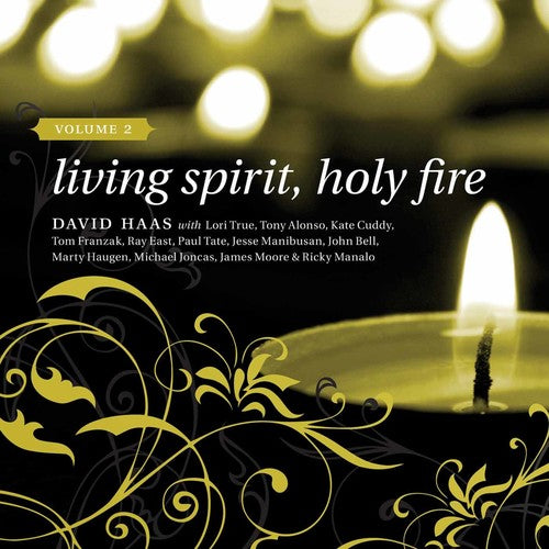 the album cover for David Haas - Living Spirit Holy Fire 2