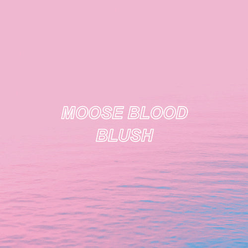 the album cover for Moose Blood - Blush