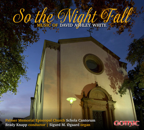 the album cover for David White Ashley / Linski,Brett / Hester,Timothy - David Ashley White: So The Night Fall