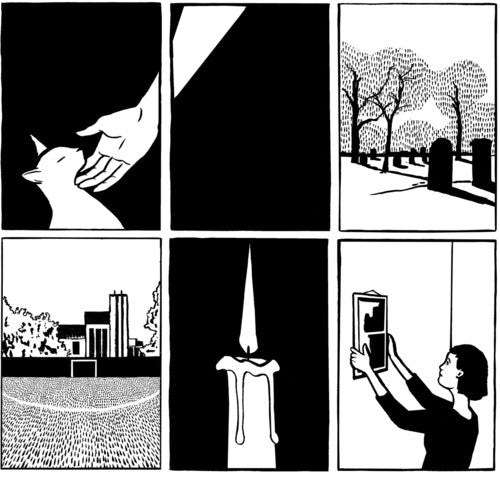 the album cover for Paws - No Grace