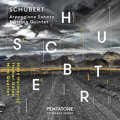 the album cover for F Schubert / Haimovitz,Matt / Golan,Itamar - Schubert: Arpeggione Sonata & String Quintet