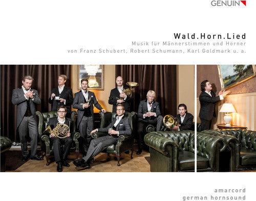 the album cover for K Goldmark / Hornsound,German - Wald.horn.lied