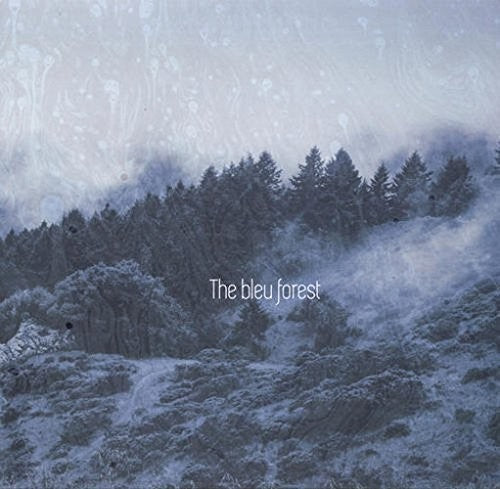 the album cover for Bleu Forest - Thousand Trees