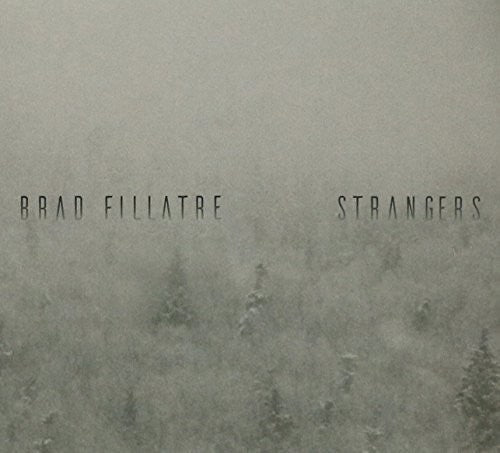 the album cover for Brad Fillatre - Strangers