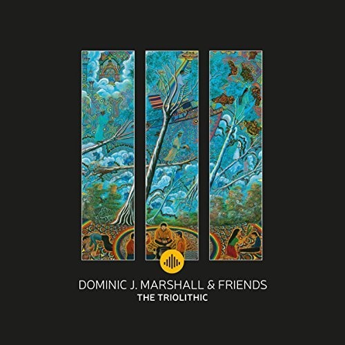 the album cover for Dominic Marshall J - The Triolithic
