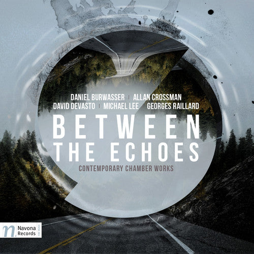 the album cover for Burwasser / Arcadian Winds / Eusebius Duo - Between the Echoes