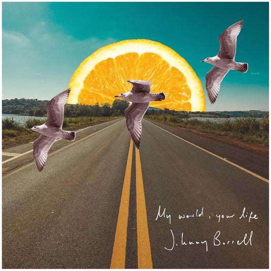 the album cover for Johnny Borrell - My World Your Life