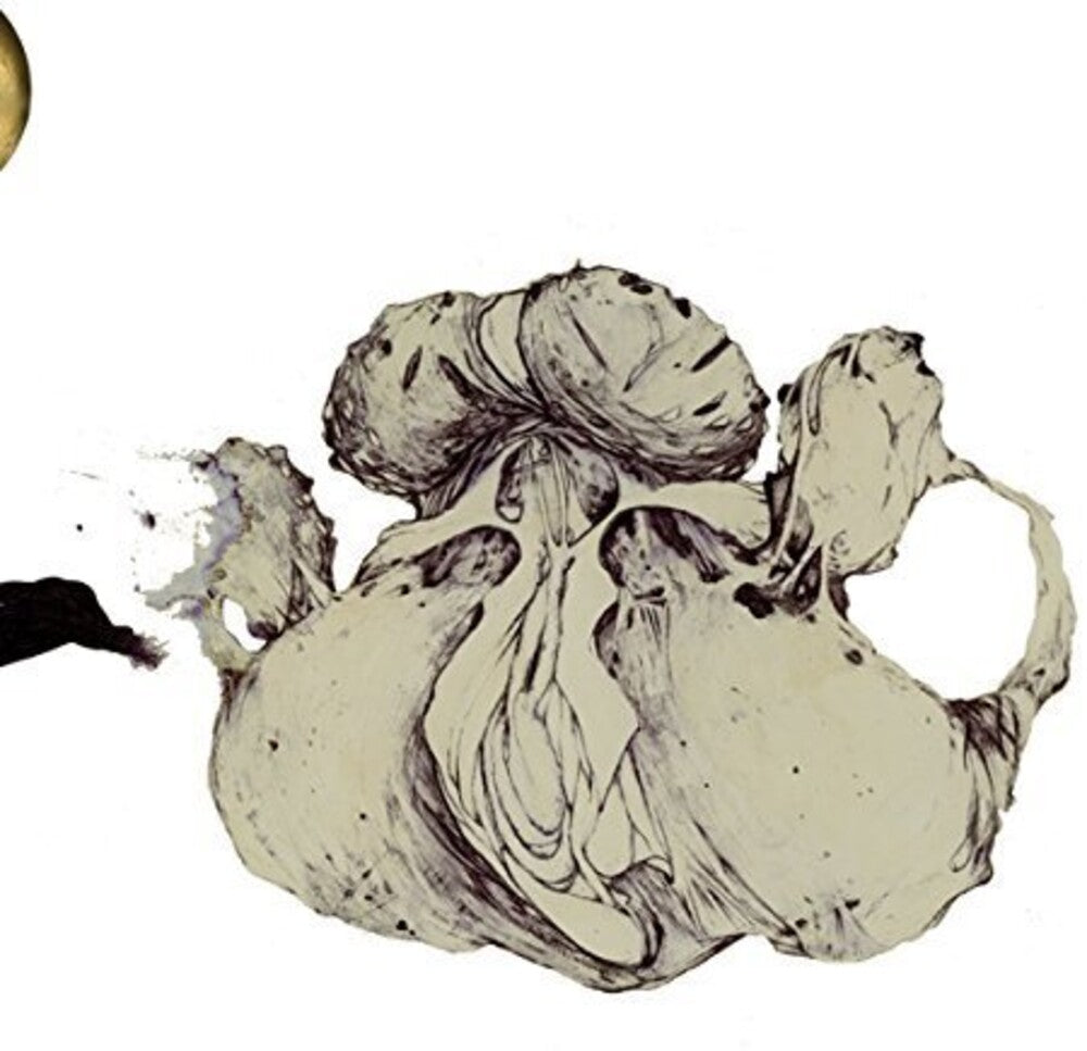 the album cover for Coil - Ape Of Naples [LP]