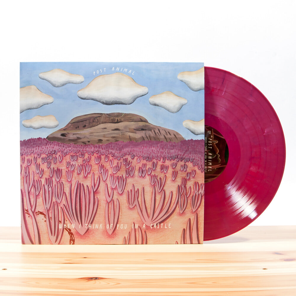 Post Animal - When I Think Of You In A Castle [LP]