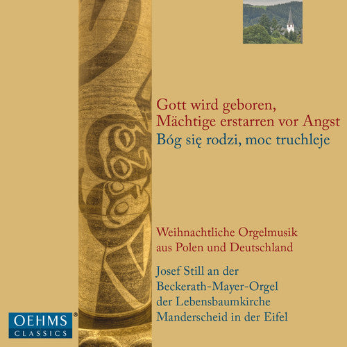 the album cover for Bach / Drusinski / Janca / Still - Gott wird geboren