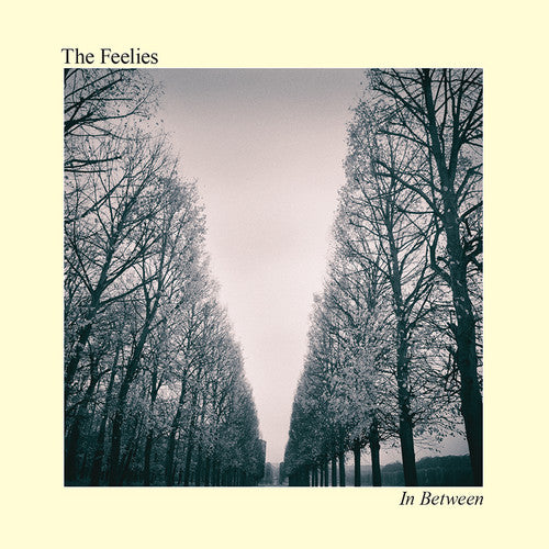 the album cover for The Feelies - In Between