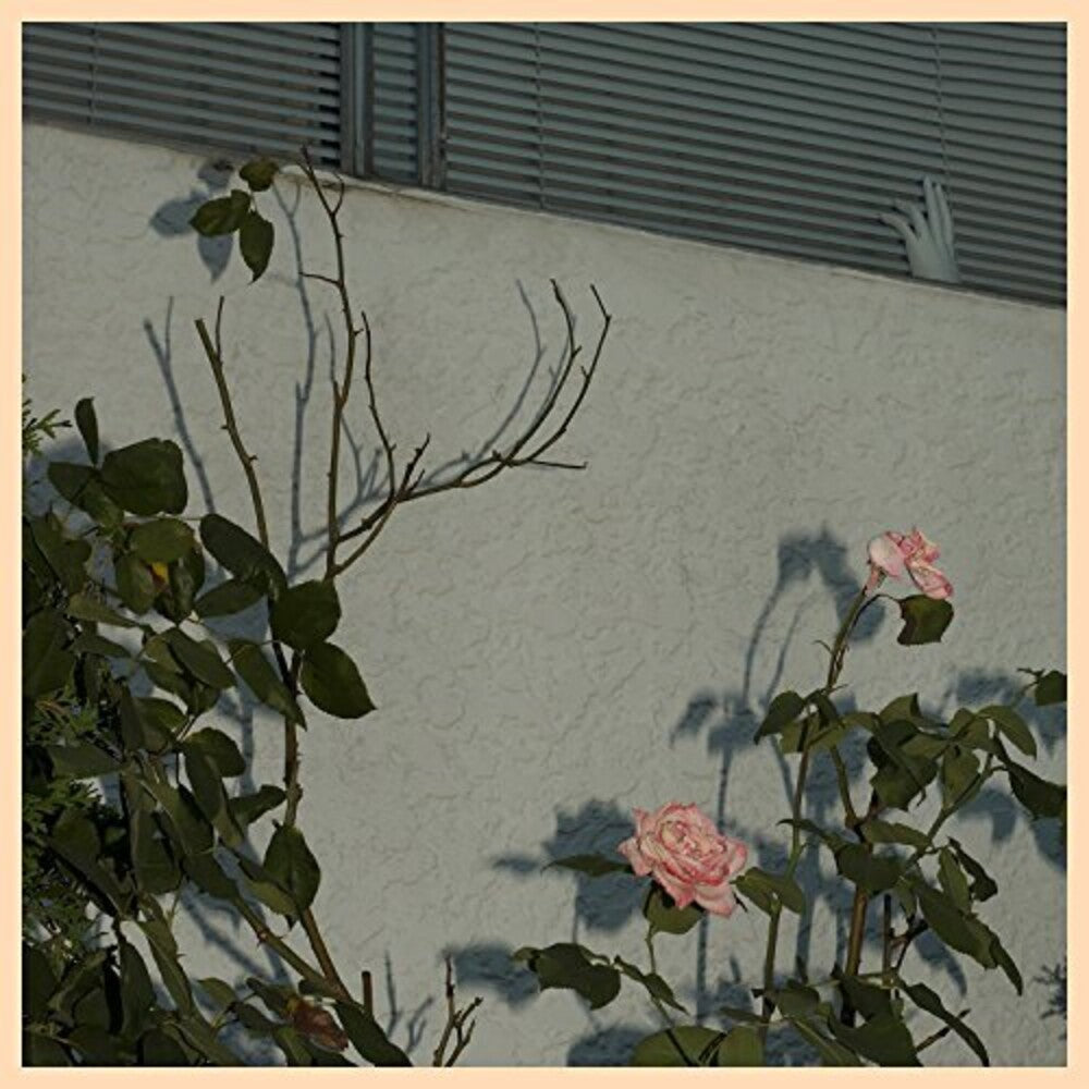 the album cover for Soft Kill - Savior