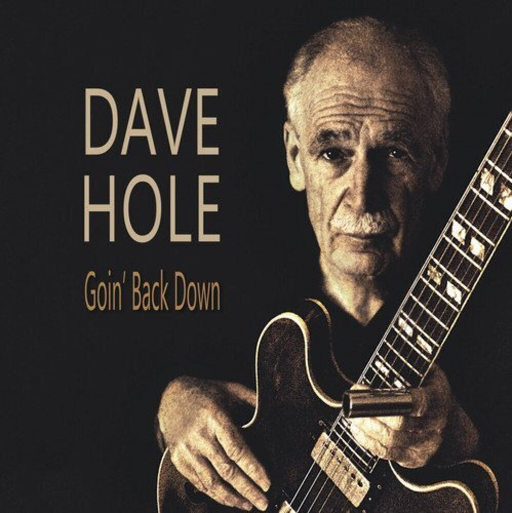 the album cover for Dave Hole - Goin' Back Down