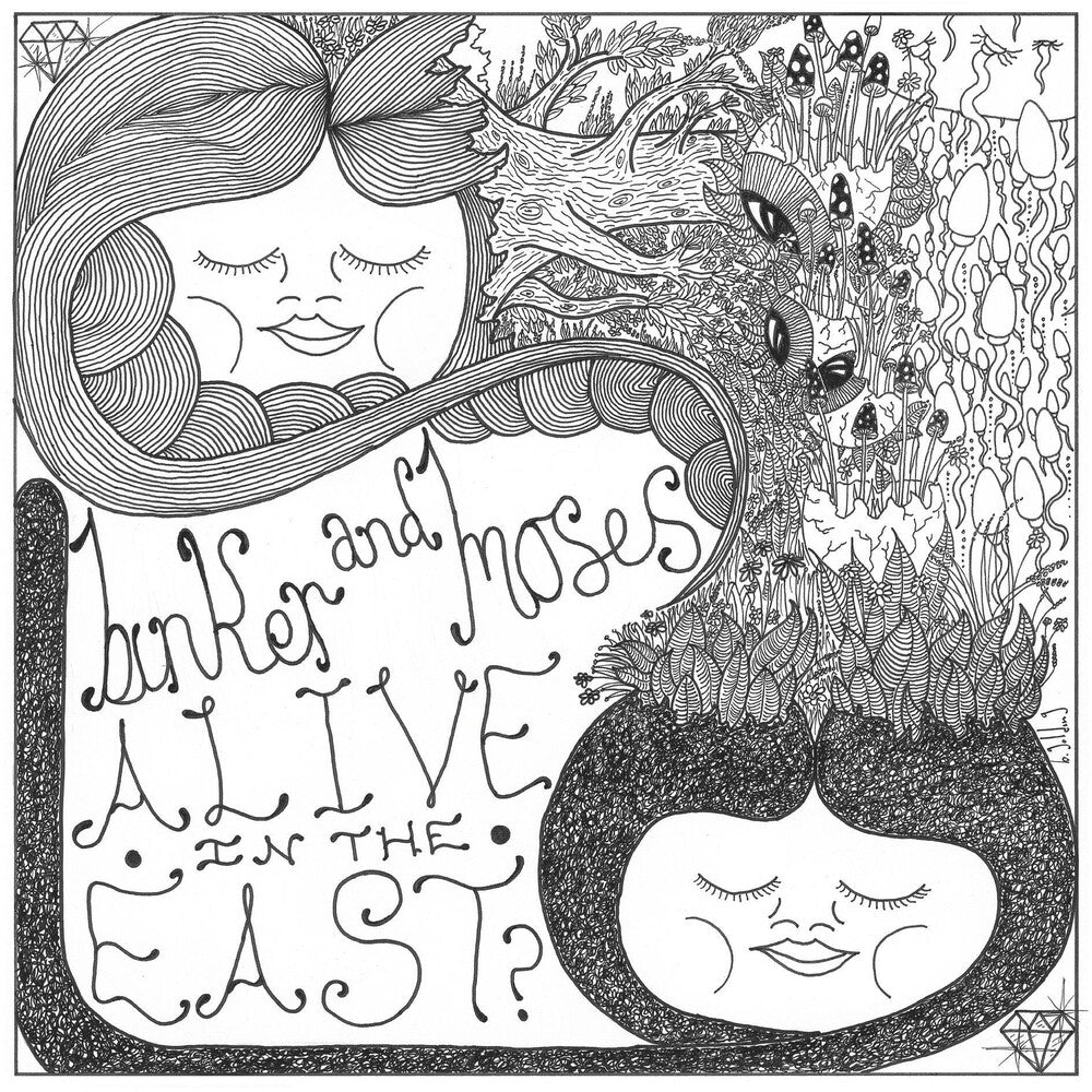 the album cover for Binker & Moses - Alive In The East