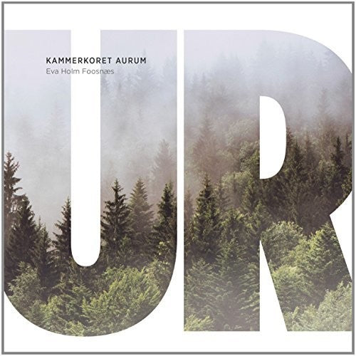the album cover for Eisund / Koren / Aurum / Foosnaes - Ur