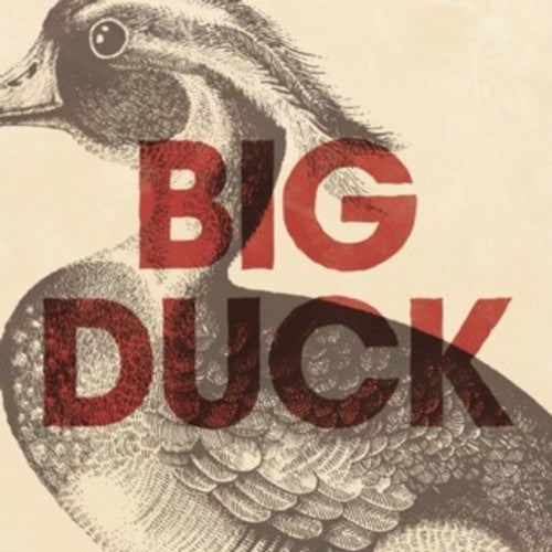 the album cover for Big Duck - Big Duck