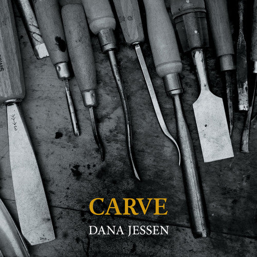 the album cover for Bruckman / Jessen / Matthusen / Jessen - Carve