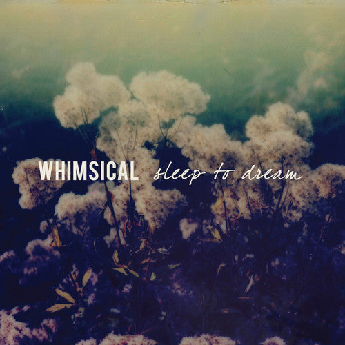 the album cover for Whimsical - Sleep To Dream