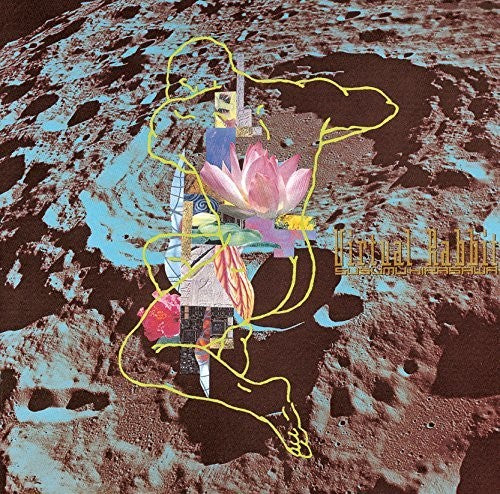 the album cover for Susumu Hirasawa - Virtual Rabbit