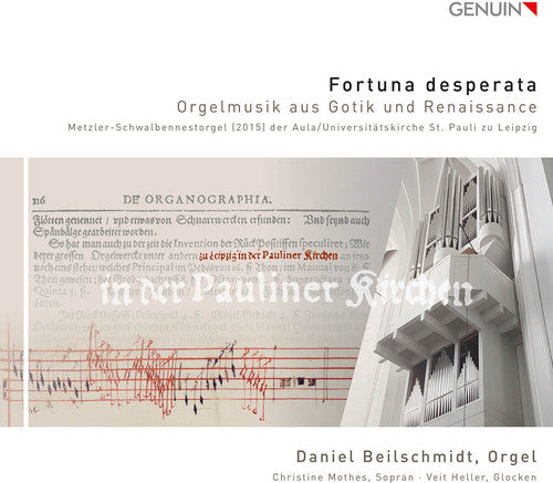 the album cover for Daniel Beilschmidt - Fortuna Desperata - Gothic & Renaissance Organ