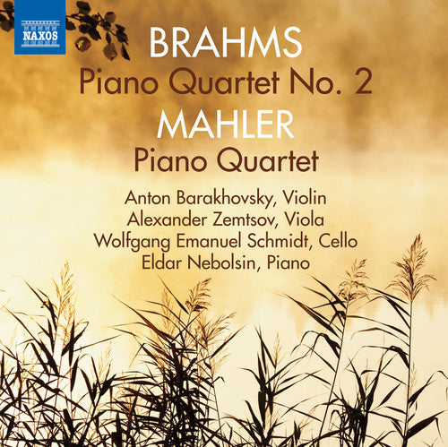 the album cover for Anton Barakhovsky - Piano Quartets