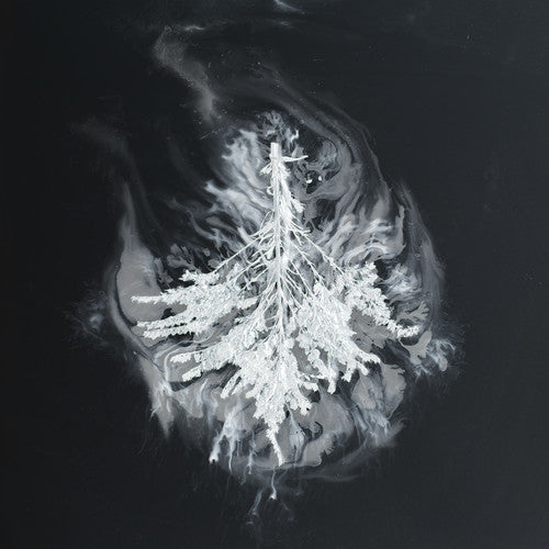 the album cover for Seabuckthorn - Turns