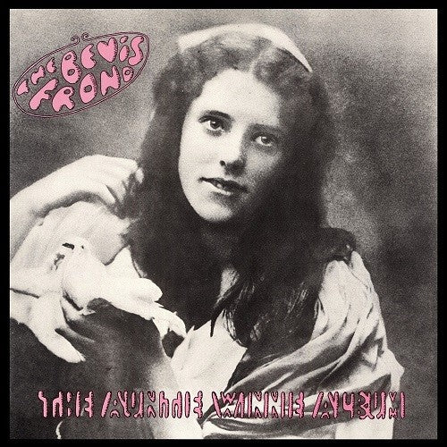 the album cover for Bevis Frond - Auntie Winnie Album