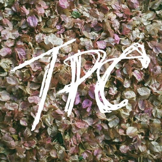 the album cover for Tokyo Police Club - Tpc