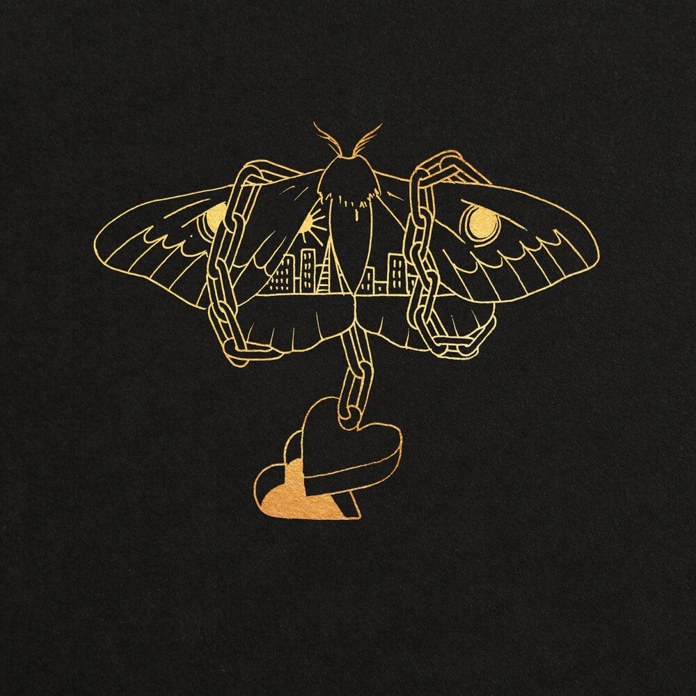 the album cover for David Gray - Gold In A Brass Age [2LP]