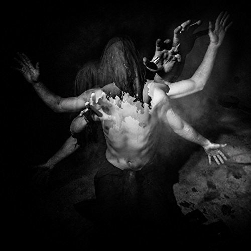 the album cover for Nephilims Howl - Through The Marrow Of Human Suffering
