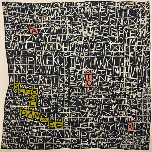 the album cover for School Damage - A To X [Limited Edition]