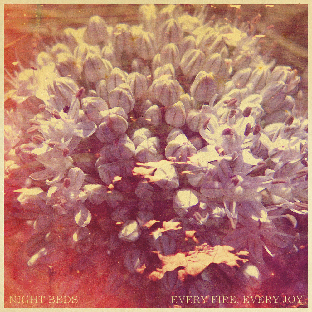 the album cover for Night Beds - Every Fire: Every Joy